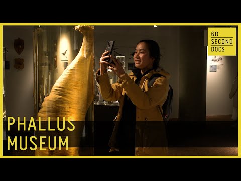 Icelandic Phallological Museum | Phallus Museum