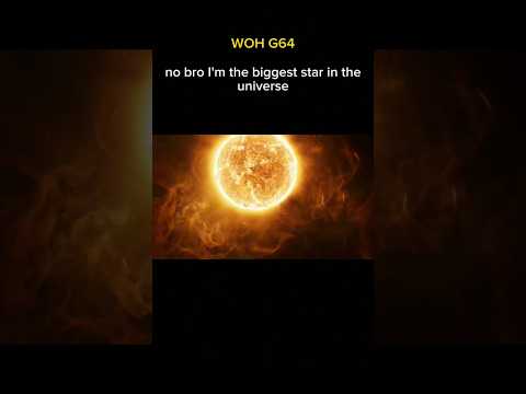 sun vs woh g64 vs stephenson 2-18 (the biggest star in the universe)