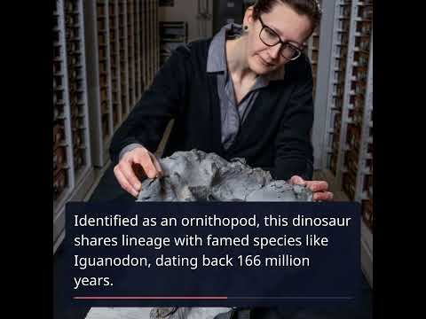 Scotland&#039;s First Complete Dinosaur Fossil Unearthed After 50 Years