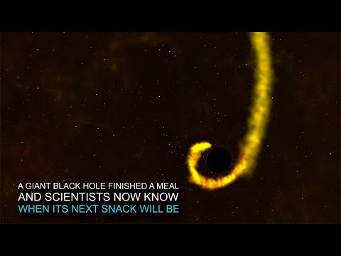 Quick Look: NASA Telescopes Work Out Black Hole&#039;s Snack Schedule