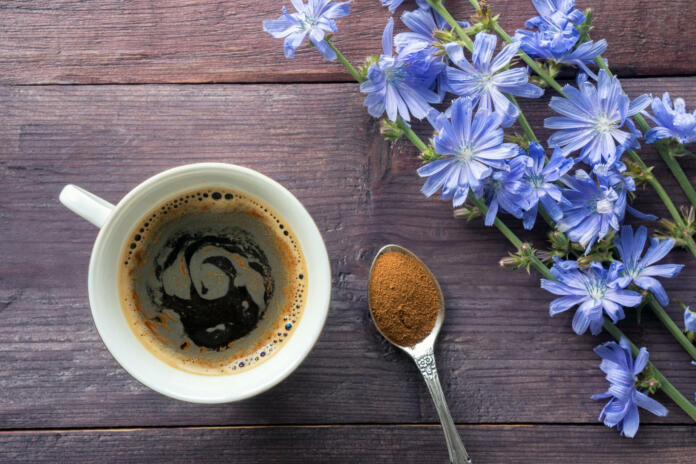 Chicory foam drink on wooden table and powder in spoon