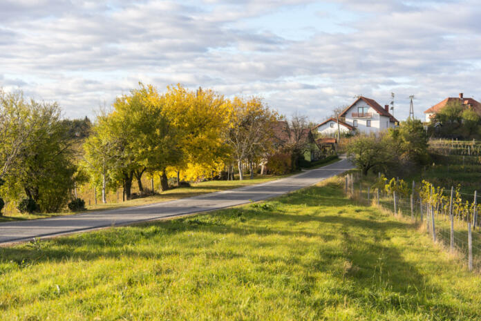 Ljutomer and Jeruzalem - Through the endless vineyards. Idyllic hills between Ljutomer and Ormož are the setting of marvelous views and fantastic wine growing countryside.