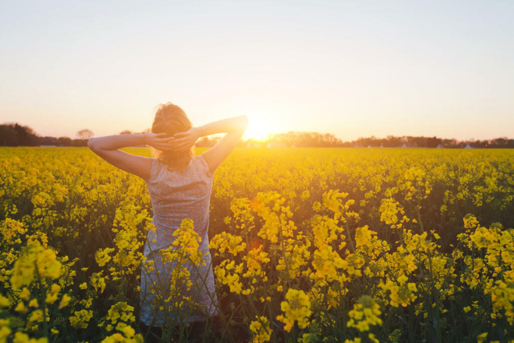 young woman enjoying summer and nature in yellow flower field at sunset, harmony and healthy lifestyle