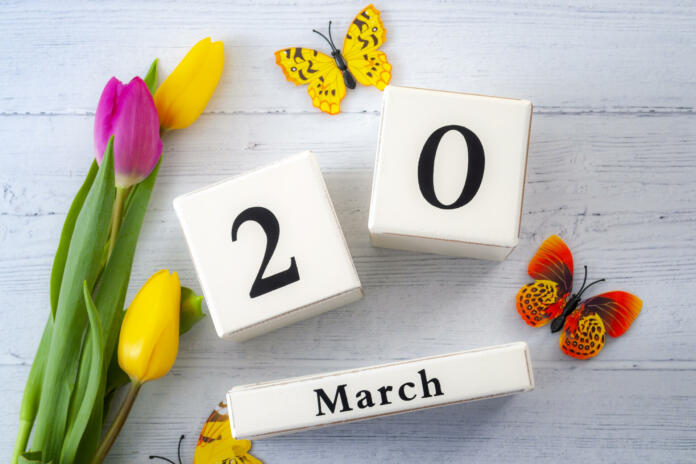 First day of Spring and springtime equinox concept theme with block calendar set on March 20, two yellow tulips and one pink tulip and butterflies isolated on a rustic white wooden background