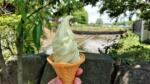 Delicious wasabi ice cream at the famous wasabi farm in Azumino, Nagano
