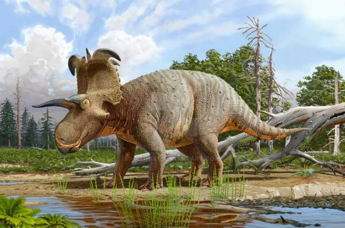Lokiceratops, novoodkriti dinozaver, ki ga je navdihnil nordijski bog