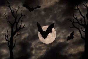 halloween, gloomy, full moon