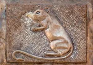 shri karni mata temple in deshnoke near