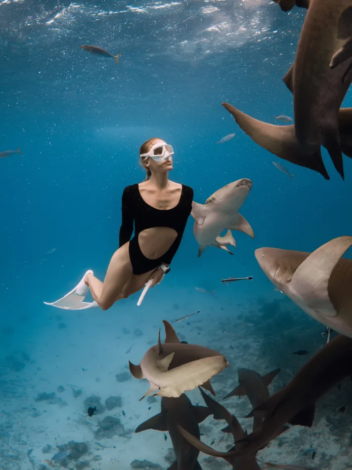 Swim with shark. Woman swims with the Nurse shark (Ginglymostoma cirratum) in tropical ocean.