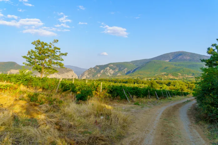 View of landscape with vineyards and mountains, near Demir Kapija, North Macedonia