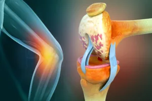 Anatomy of human knee joint.3d illustration