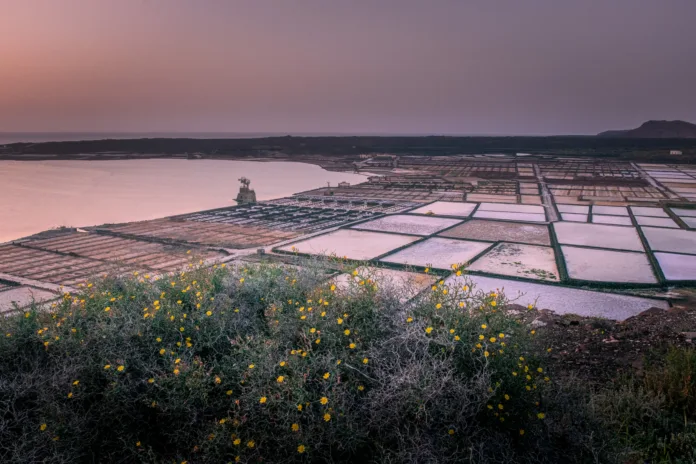 Janubio salt fields at pink sunset, Lanzarote, Canary Islands, Spain