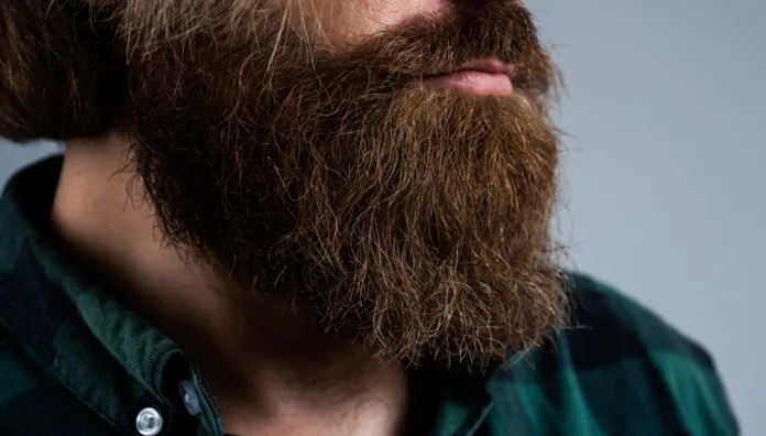 lush groomed beard of brutal bearded male man, hair care.