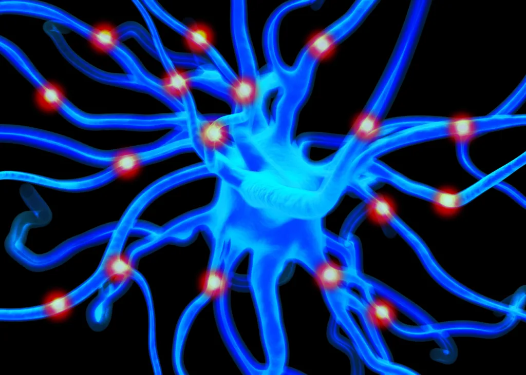 Neuron or nerve cells which form part of the nervous system which process and transmit information by electrical and chemical signalling.Neuron or nerve cells which form part of the nervous system which process and transmit information by electrical and chemical signalling.