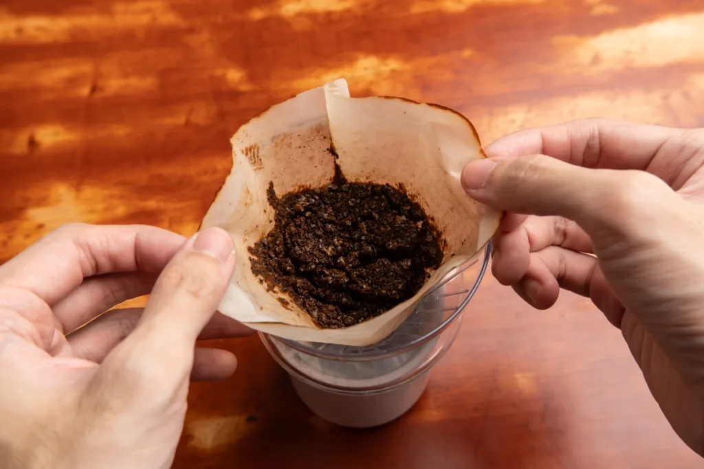 Used coffee ground left in a coffee dripper. Coffee grounds can be used as a fertilizer.