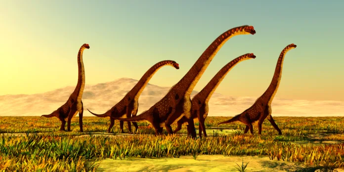 A herd of Giraffatitan dinosaurs travel through a grassy plain in Africa during the Jurassic Period.