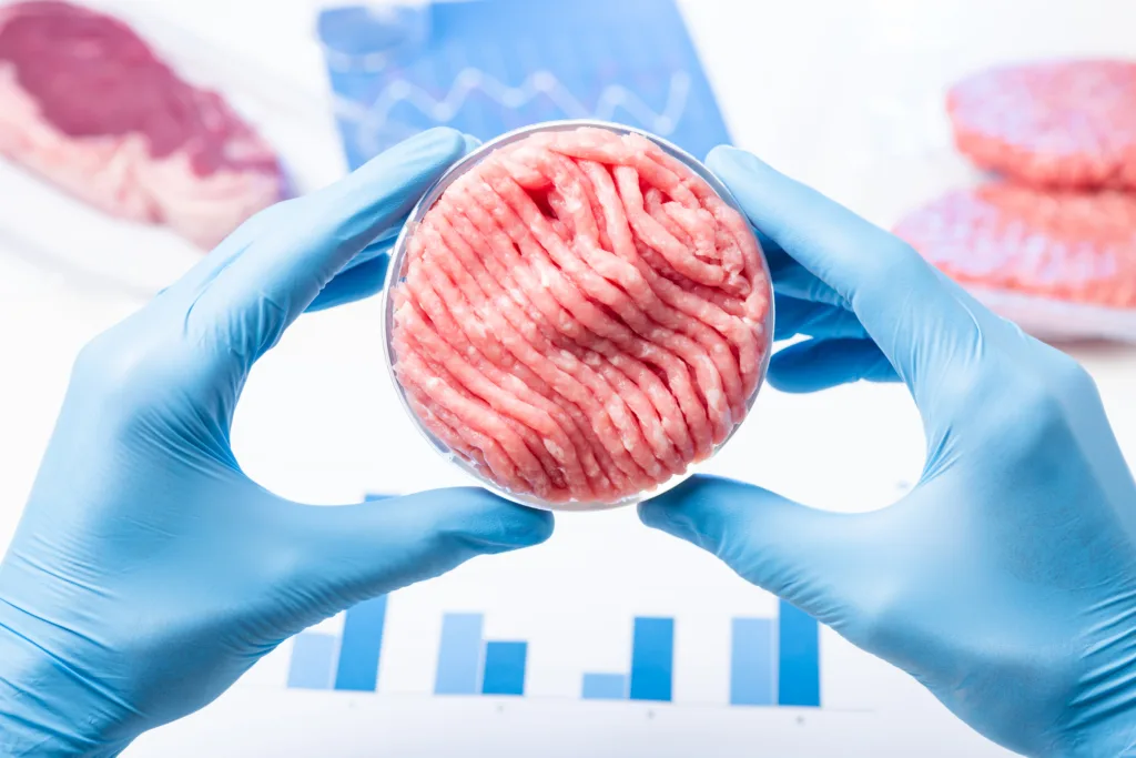 Artificial cultured meat concept. Clean ground meat sample in lab scientist hands in Petri dish.