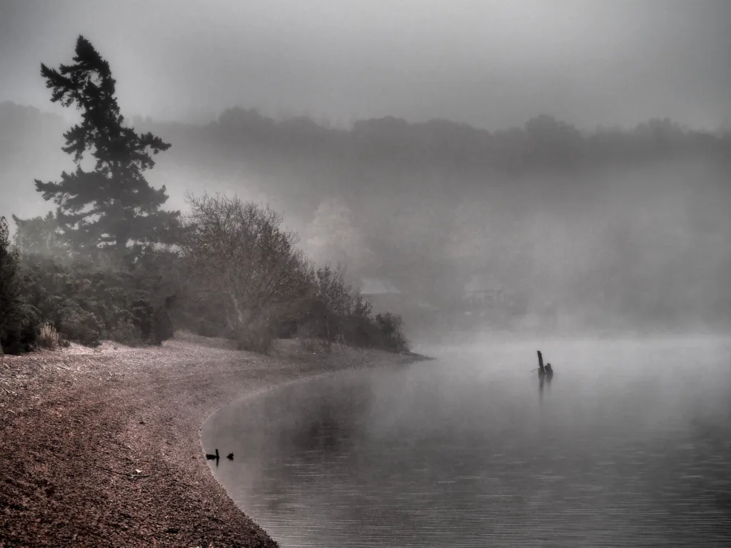 At the edge of the Loch Ness, near Lochend, Scotland, Uk, Europe