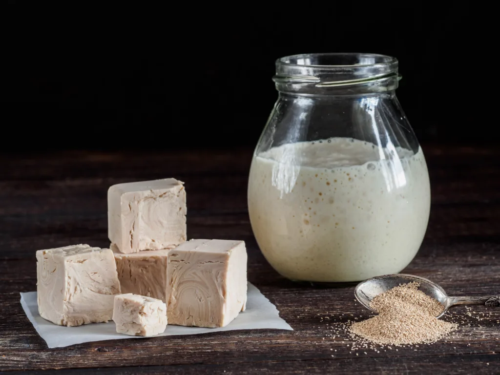 Different types yeast. Fresh pressed yeast, dry instant yeast and active wheat sourdough starter (wild yeast) on wooden table. Low key. Selective focus. Copy space.