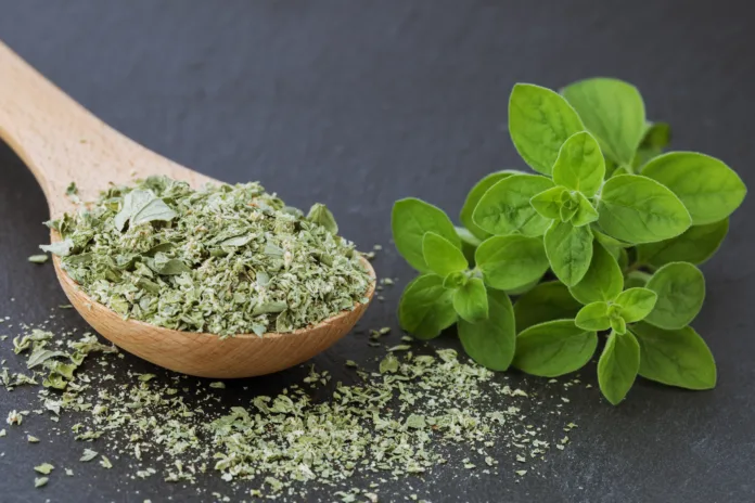 Dried marjoram on a black background, fresh marjoram o oregano leaves, close up. Macro. Food background