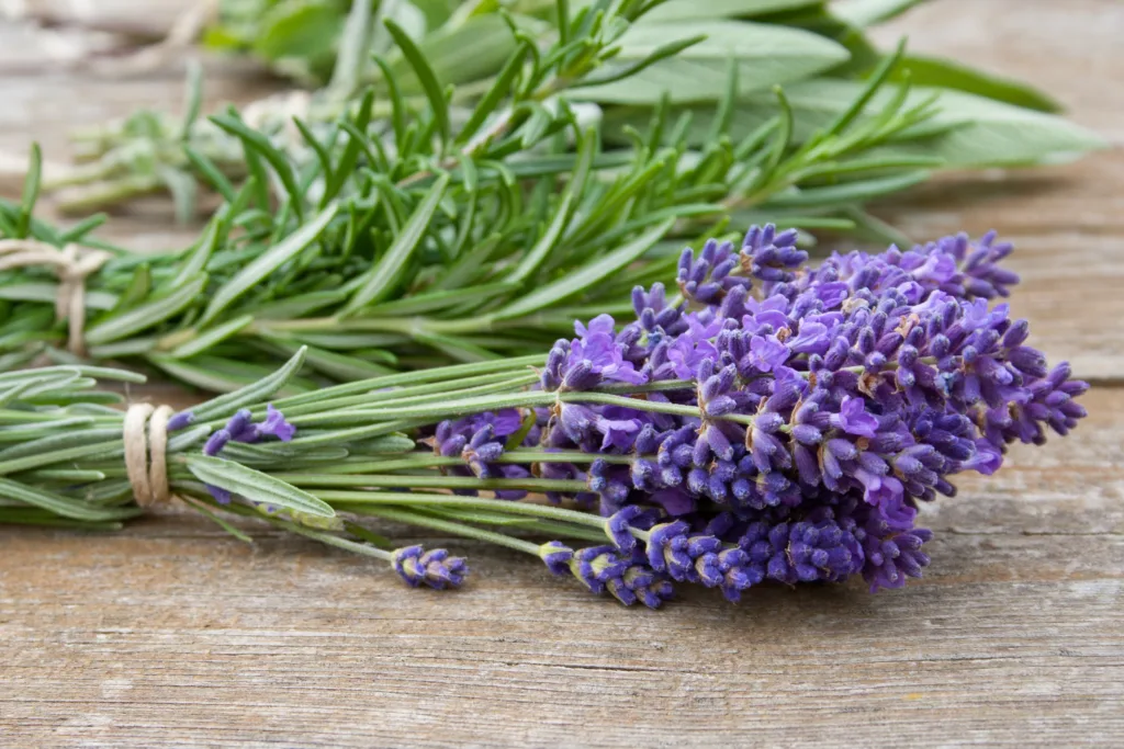 lavender and rosemary on wooden ground