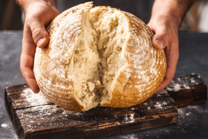 Male baker breaks freshly baked loaf of bread