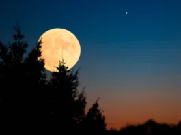 Planets in conjunction with full Moon above tree countryside silhouettes.