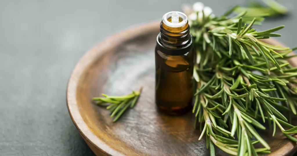 Rosemary essential oil bottle with rosemary herb bunch on wooden plate, aromatherapy herbal oil