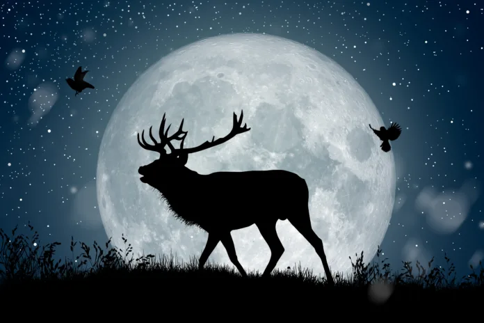 Silhouette of reindeer standing on the hill under the full moon at night Christmas while two birds flying around.