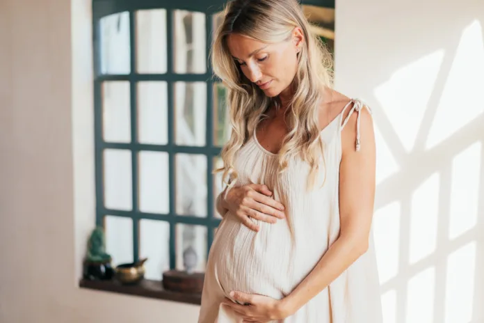 Beautiful pregnant woman touching her belly standing by the window