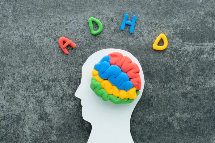 A brain model crafted from colorful materials rests on a white head silhouette, with the letters ADHD on a concrete background.