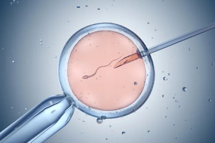 Artificial insemination or in vitro fertilization. 3D illustration