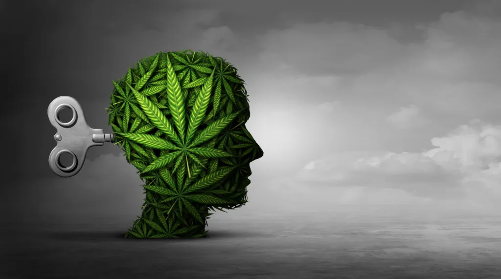 Cannabis and mental function with the use of marijuana as a psychiatric or psychiatry concept of the effects on the brain with recreational or medicinal weed with 3D illustration elements.