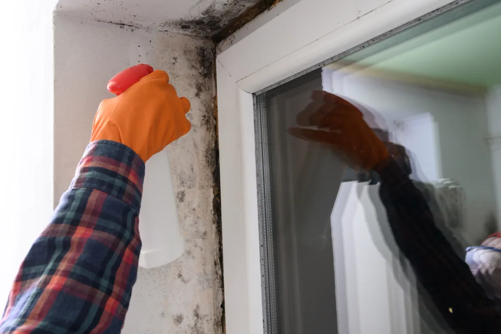 Mold and fungus on a plastic window, a woman removes mold on a window, a woman sprays chemicals on a window from mold, rubber gloves and minimal protective equipment.