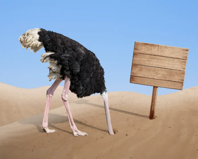 scared ostrich burying head in sand near standing blank wooden signboard