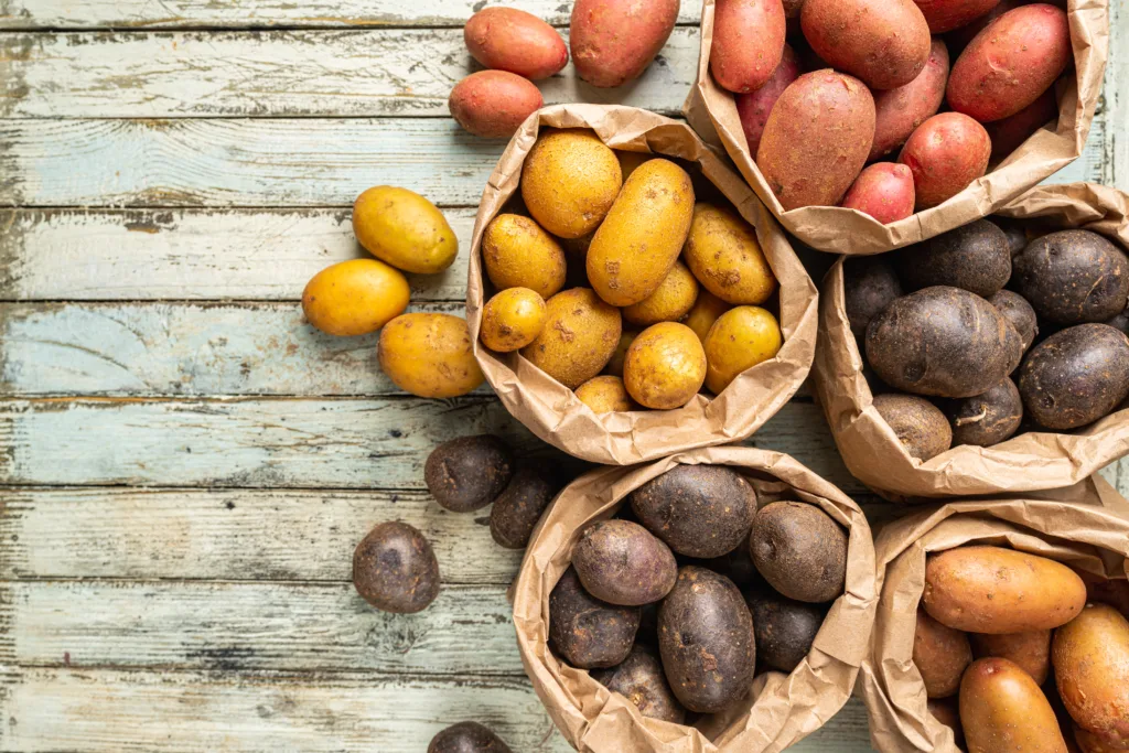 Various varieties of new raw colorful, white, red and purple potatoes in paper bags on white wooden background, top view