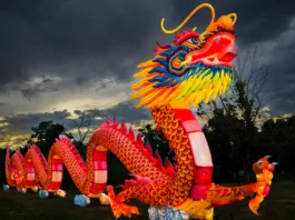 Denver Colorado, “Bright Nights Festival” at Four Mile Historic Park.  8/11/2023.   Traditional Chinese paper lantern sculptures lighting up the park.