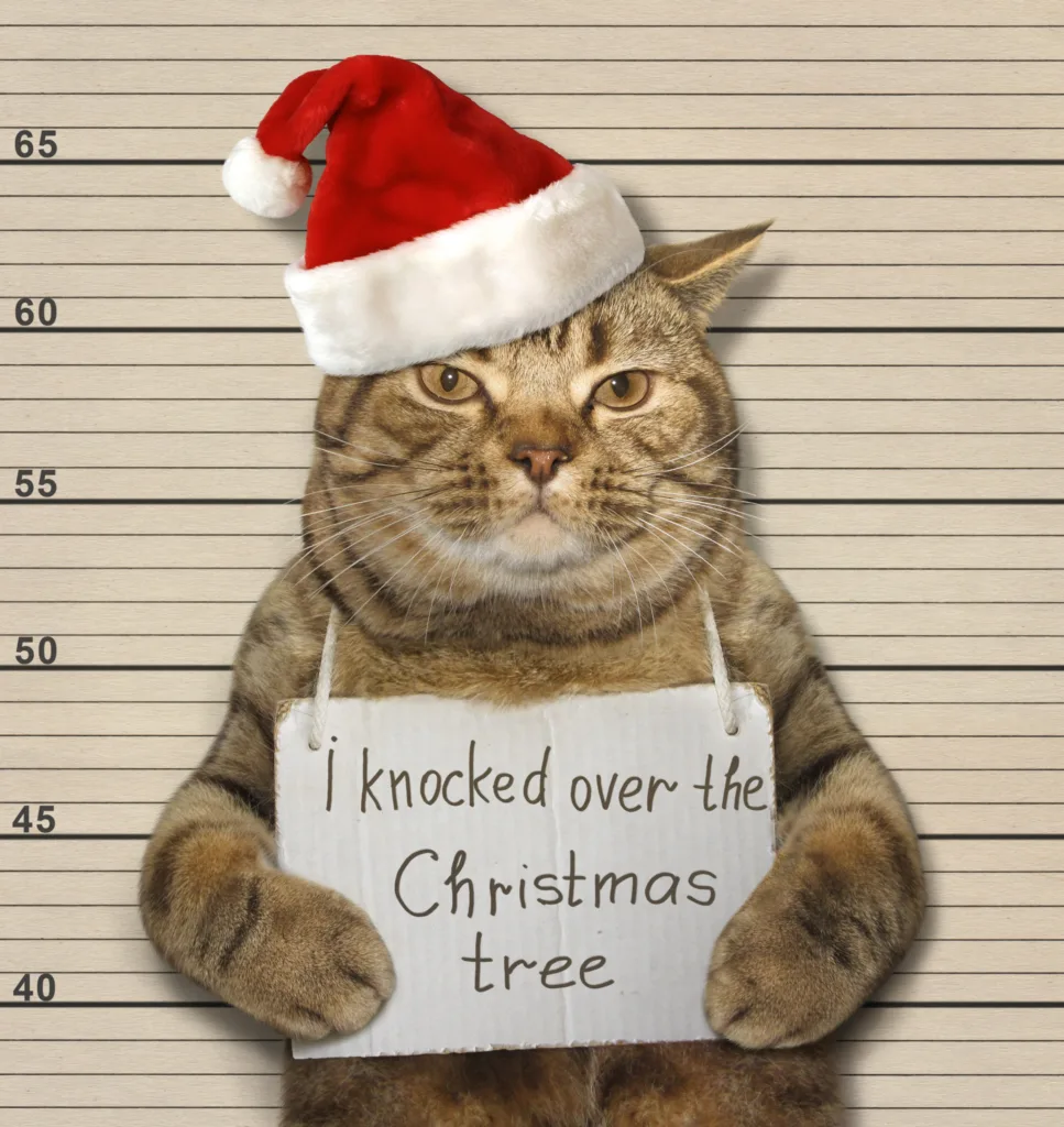 The cat knocked over the Christmas tree. It was arrested for this.