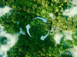 Abstract icon representing the ecological call to recycle and reuse in the form of a pond with a recycling symbol in the middle of a beautiful untouched jungle. 3d rendering.