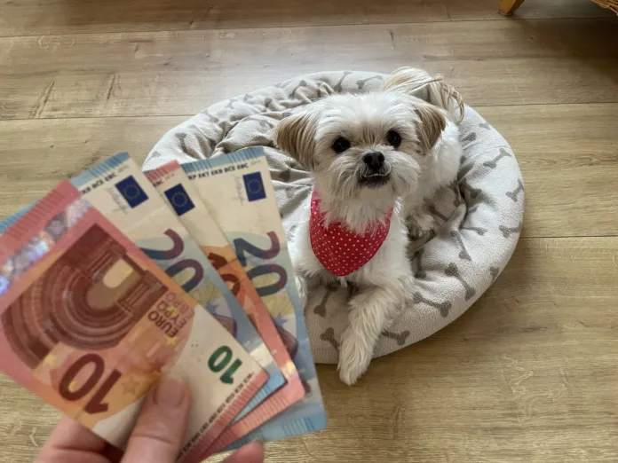 Dog with Money